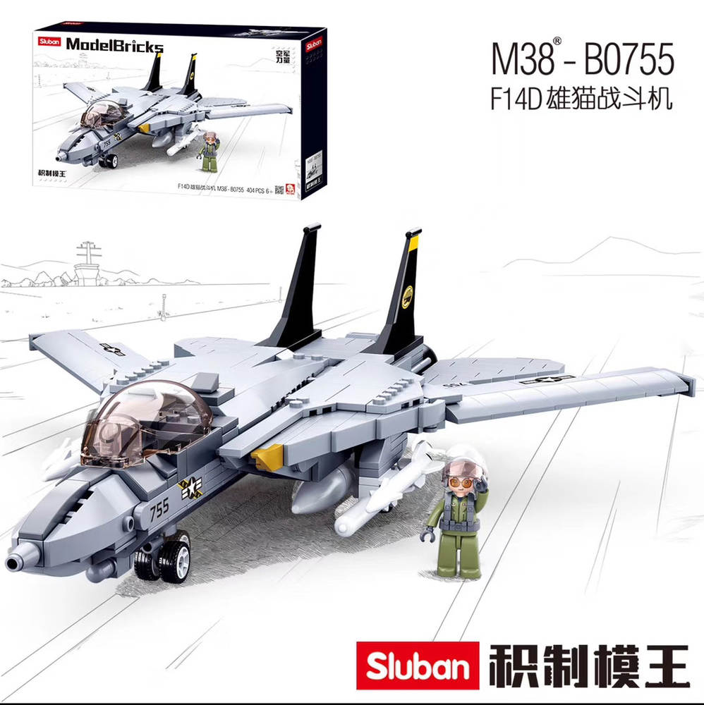 F-14 fighter