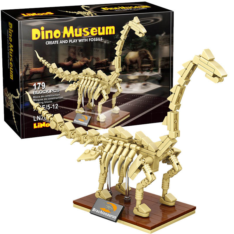 Dino Museum:Brachiosaurus