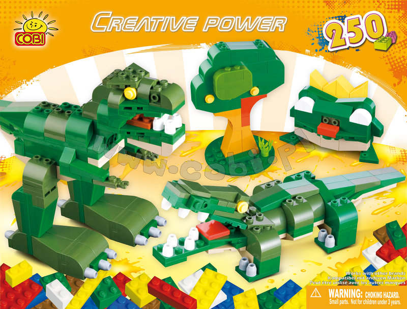 250 blocks + instructions
