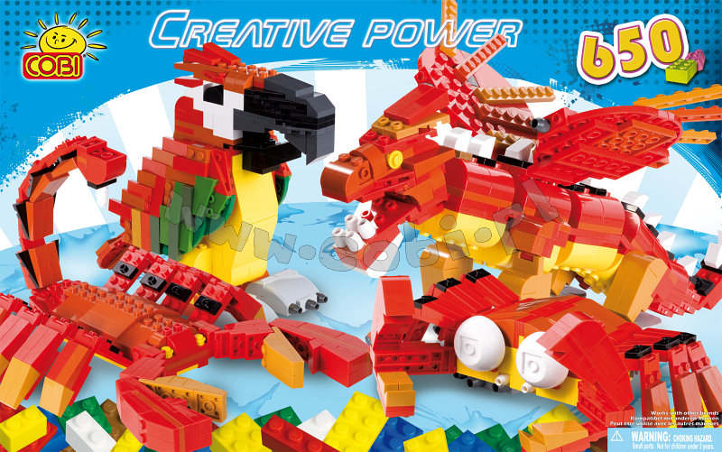 650 blocks + instructions