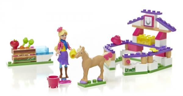 Pony Care