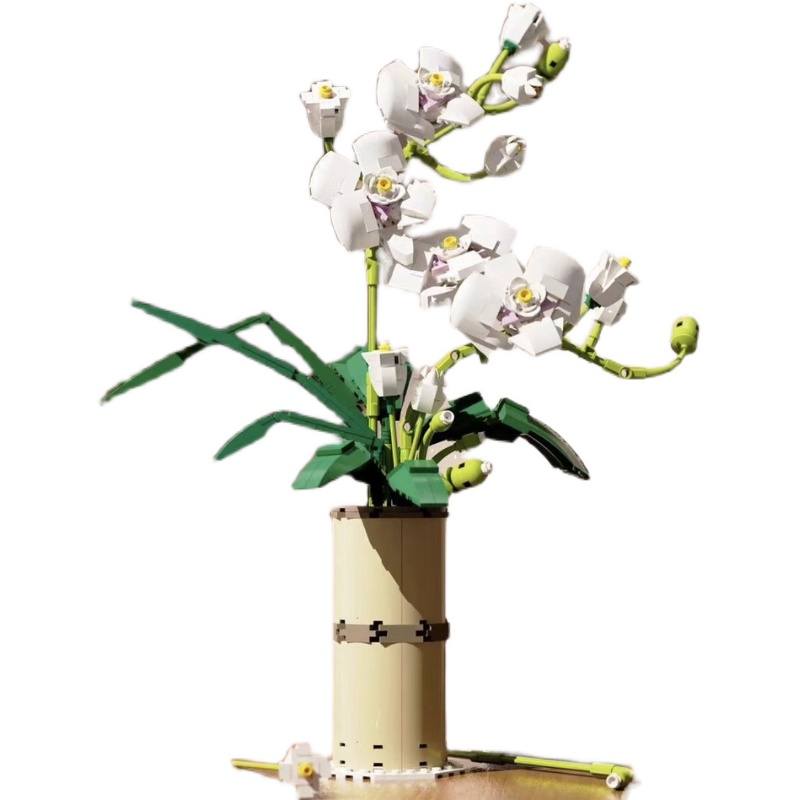 花束：蝴蝶兰积木