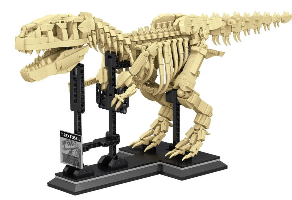 T.REX Fossils