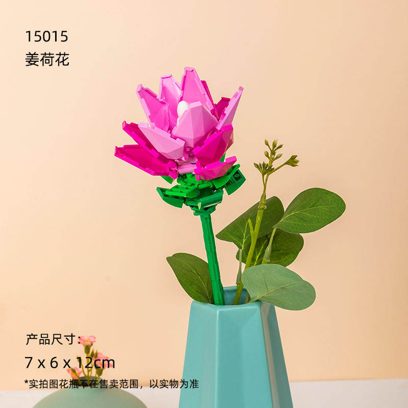 花花世界:姜荷花