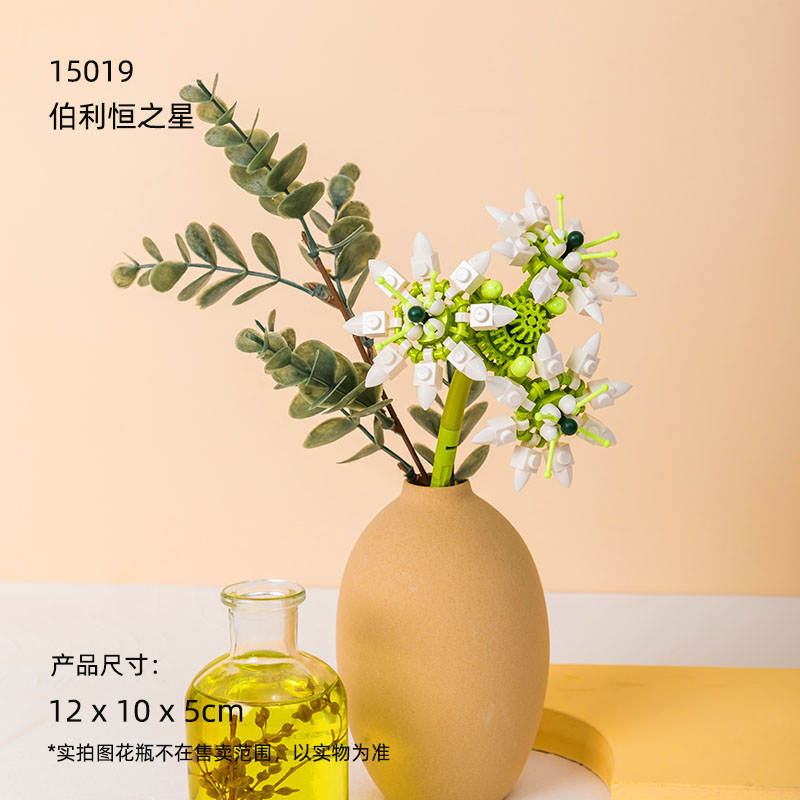花花世界:伯利恒之星