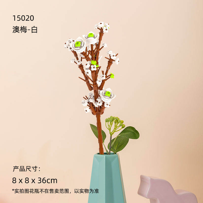 花花世界:澳梅 白、黄