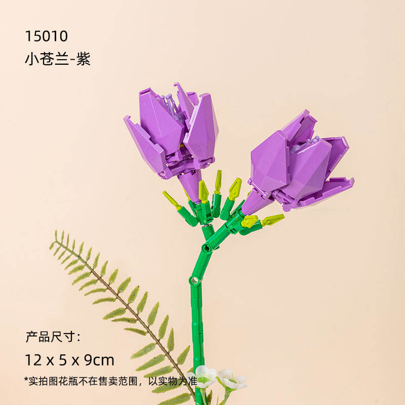花花世界:小苍兰 紫、黄、红