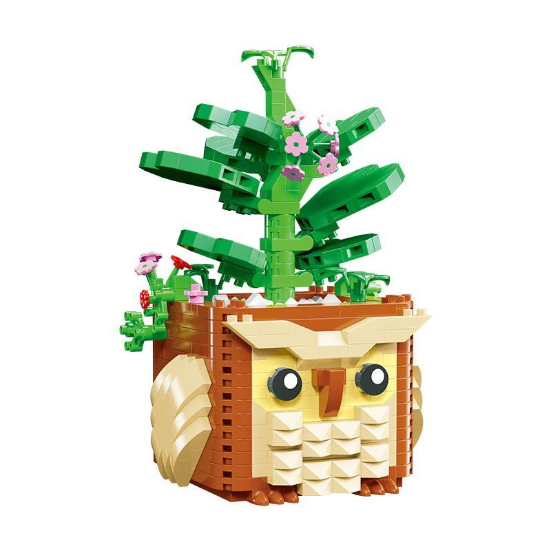 Succulent Plants