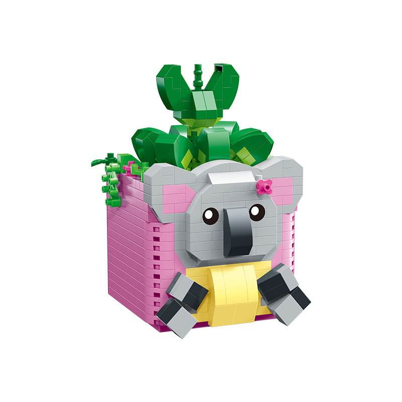 Succulent Plants