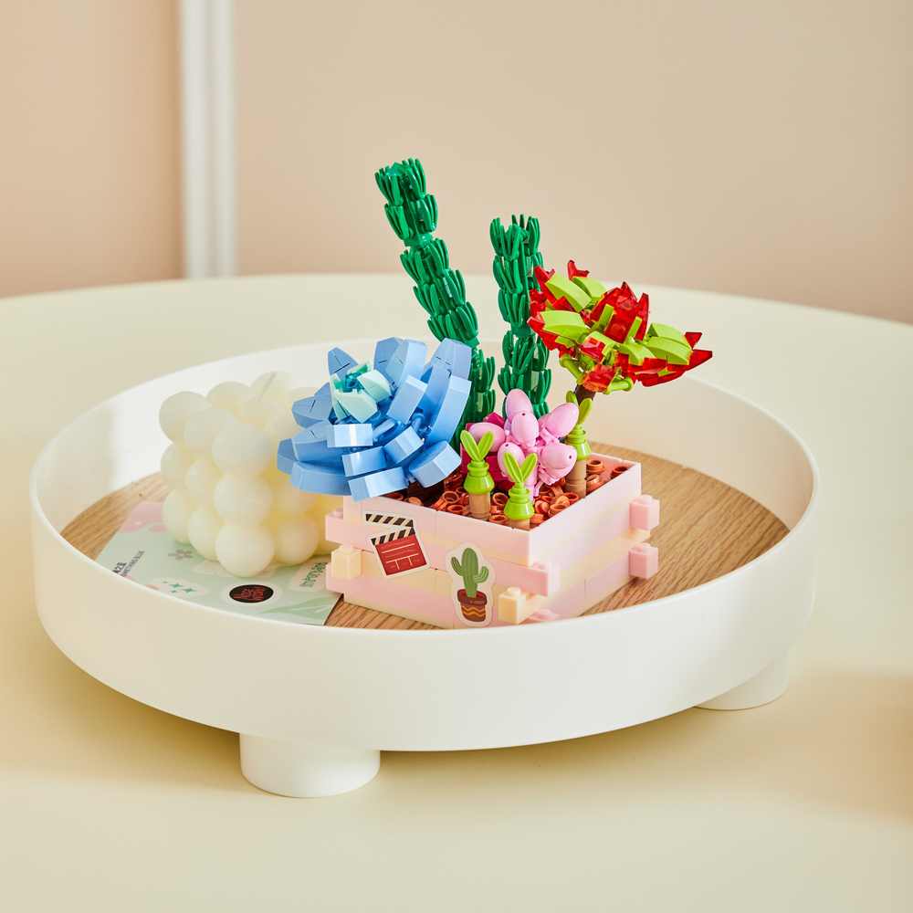 Succulent Garden:Something Blue