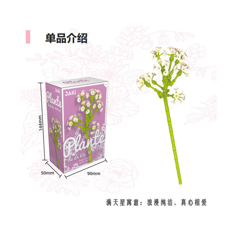 满天星（秋露白）