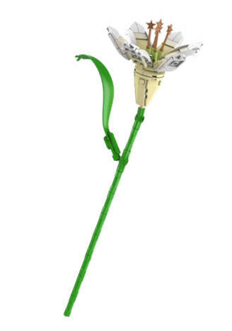 百合花