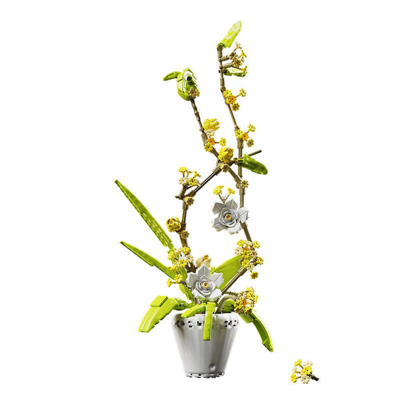 Fragrans