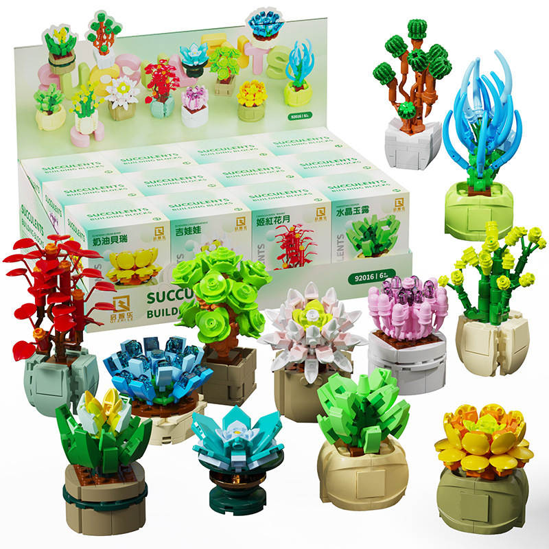 Succulents