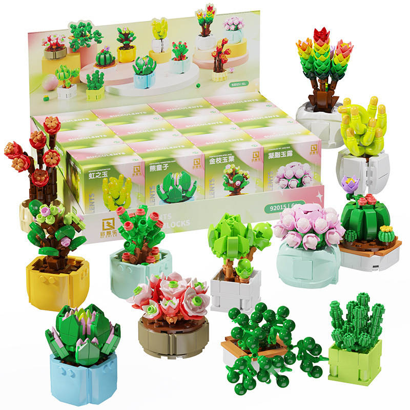 Succulents