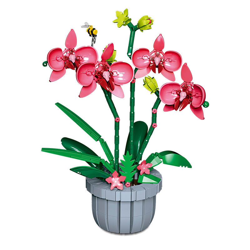 Pink Orchid