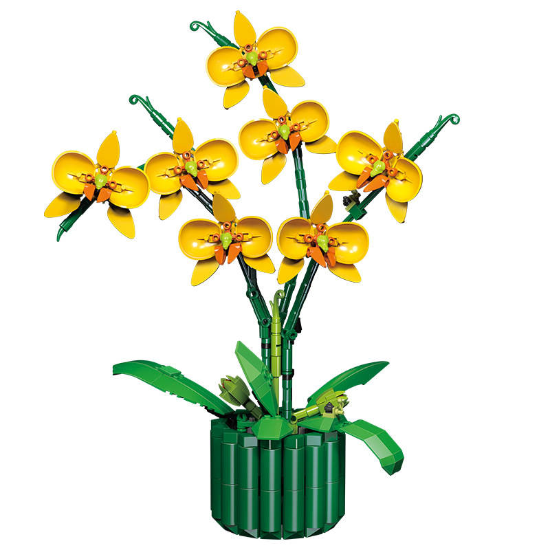 Dancer Orchid