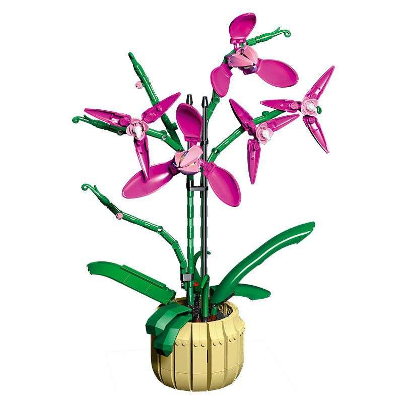 Cold Orchid
