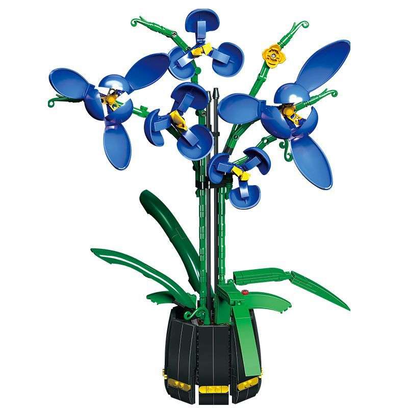 Spring Orchid
