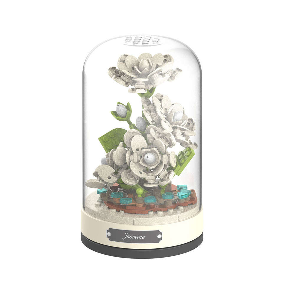 永生花 小雀跃