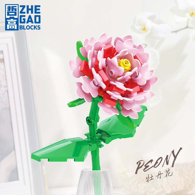花之物语：牡丹花