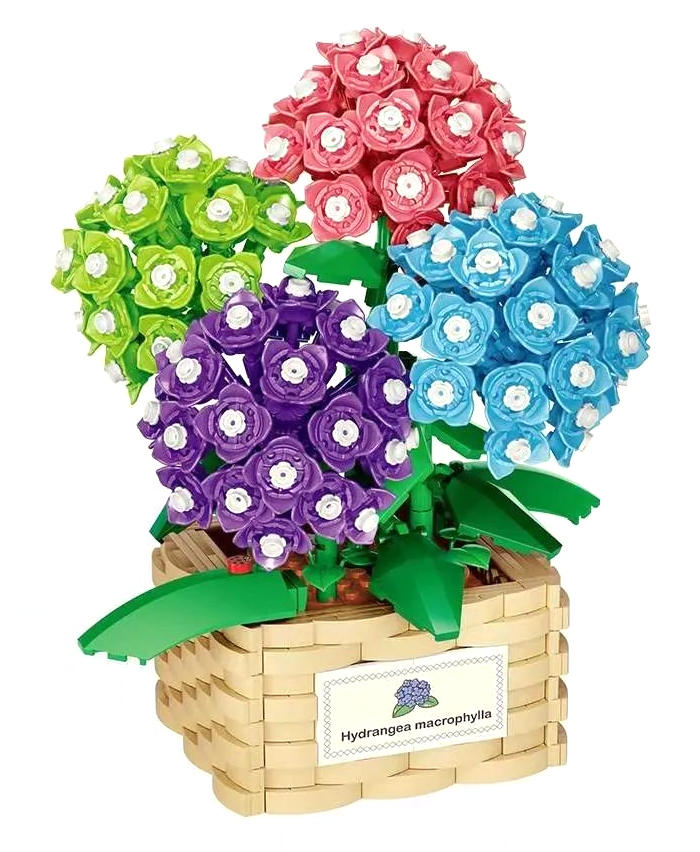 Hydrangea