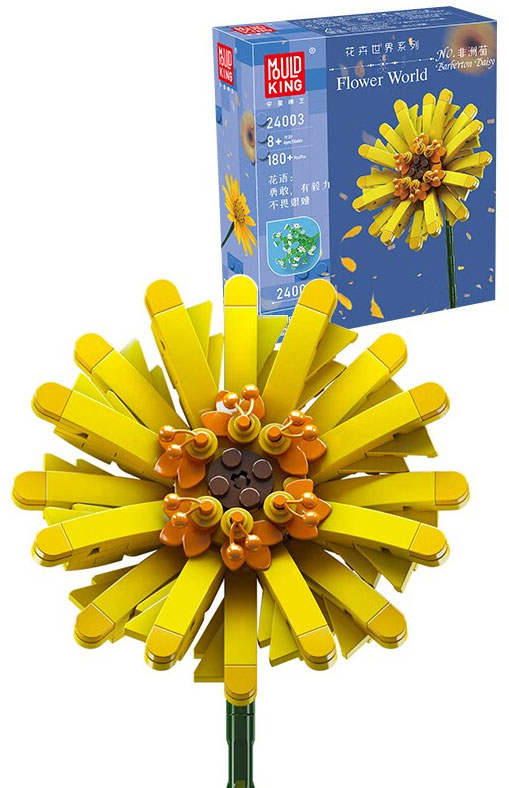 Flower World：Barberton Daisy