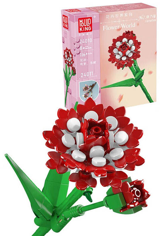 Flower World：Carnation