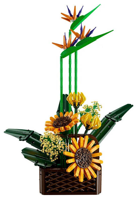 Flower World：Birds Of Paradise