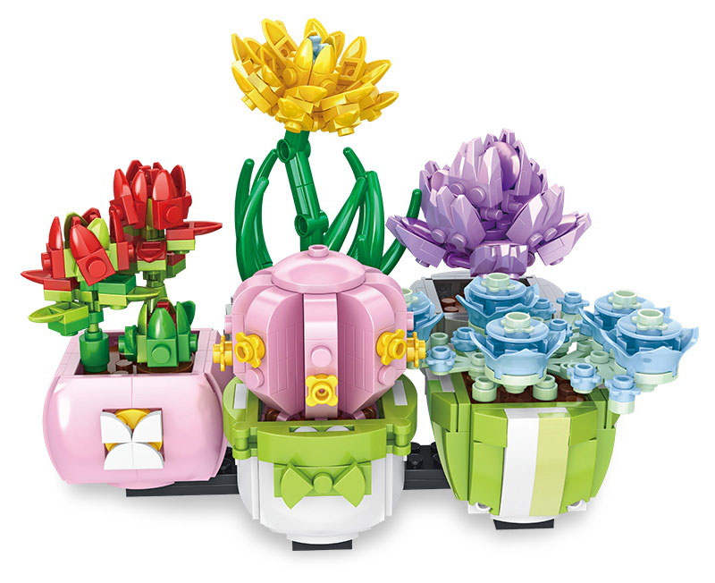 Flower Workshop：Succulent Plant