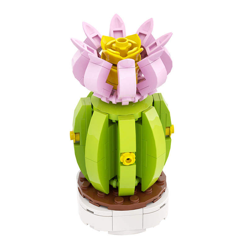 花卉语录：夏花依旧