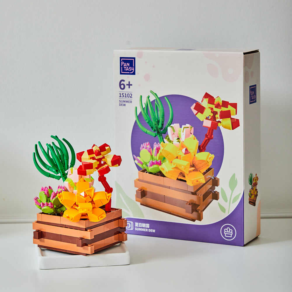 Succulent Garden:Summer Dew