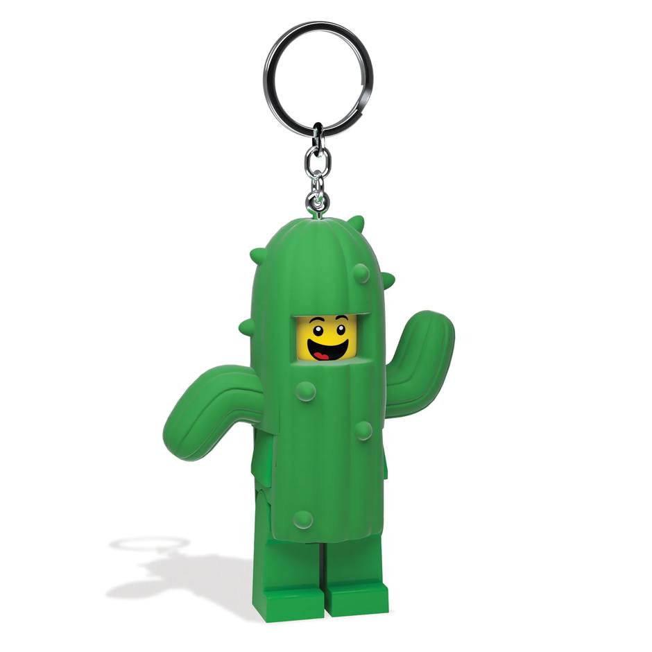 Cactus Boy Key Light