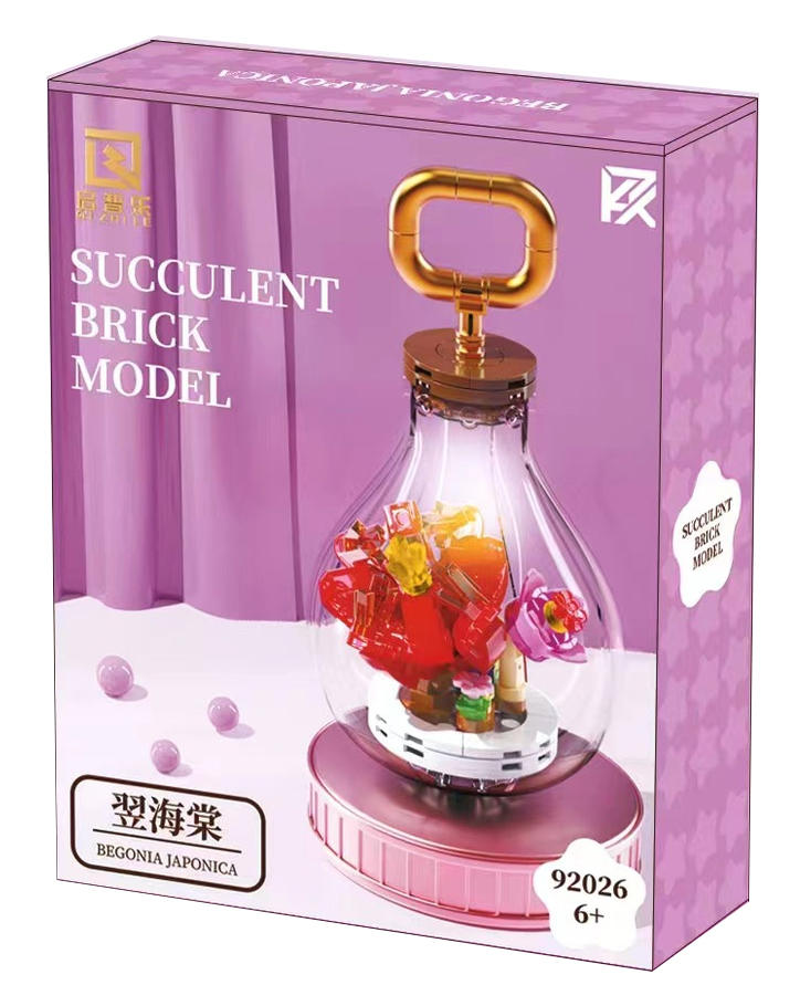 Succulent Brick Model：Begonia Japonica