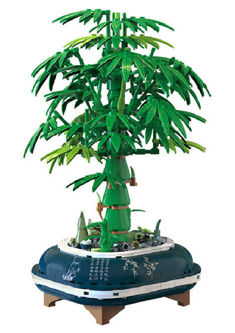 Bamboo Bonsai