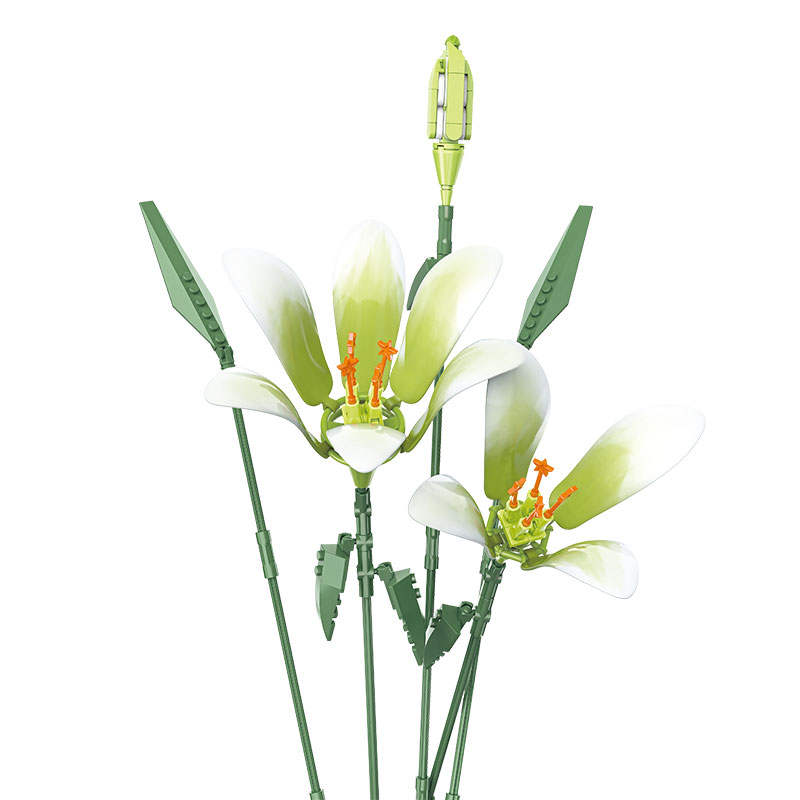 Plante：Early Spring