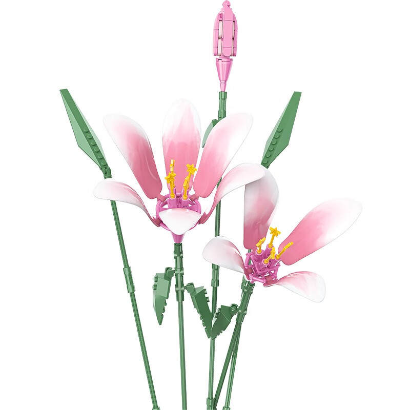 Plante：Sweetener In Life
