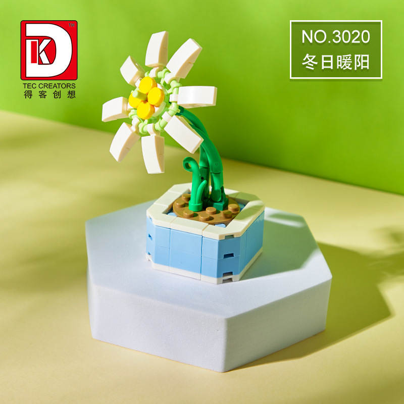 植物花坊:冬日暖阳