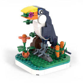 Wonderful Animals：Toucan