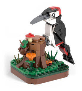 Wonderful Animals：Woodpecker