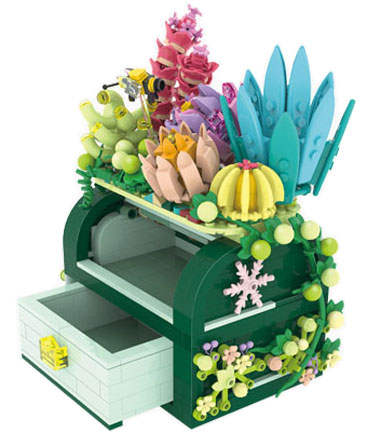 Succulent Box