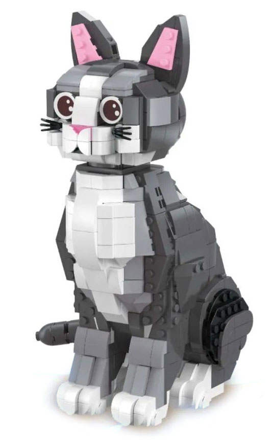 Cute Cat Comes