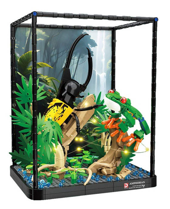 Rainy Season Amphibian Rainforest Adventire