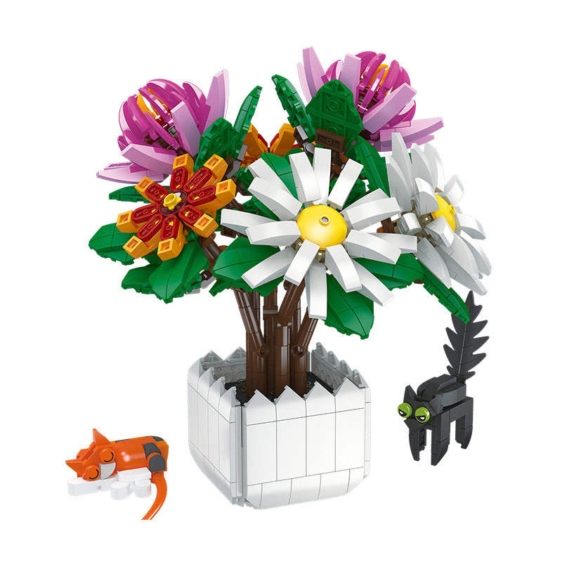 Chiysanthemum Potted Plant