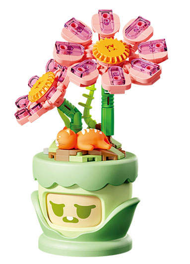情绪花语:波斯菊