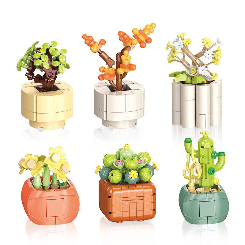 Bonsai Diary Leisure Time