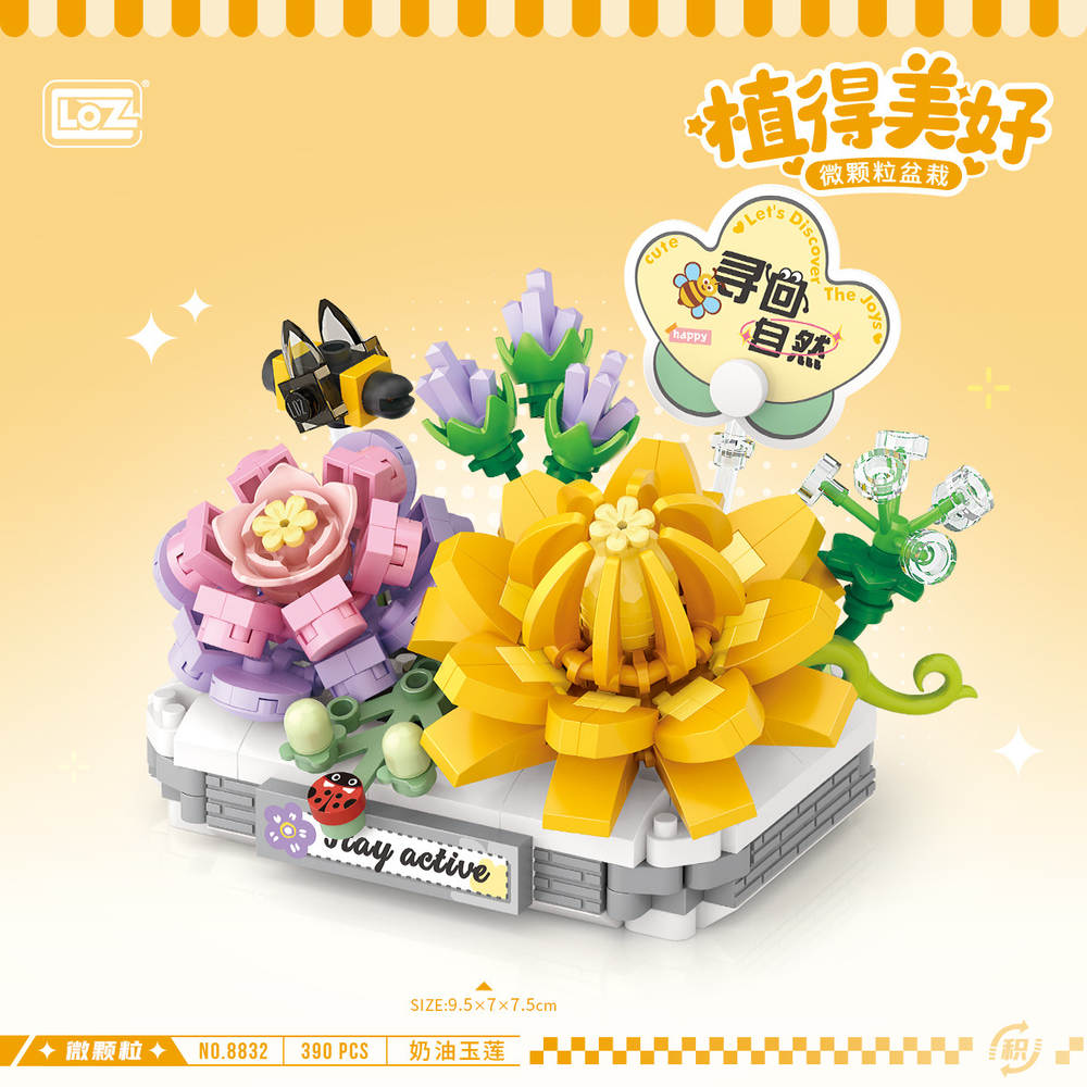 植物美好:奶油玉莲