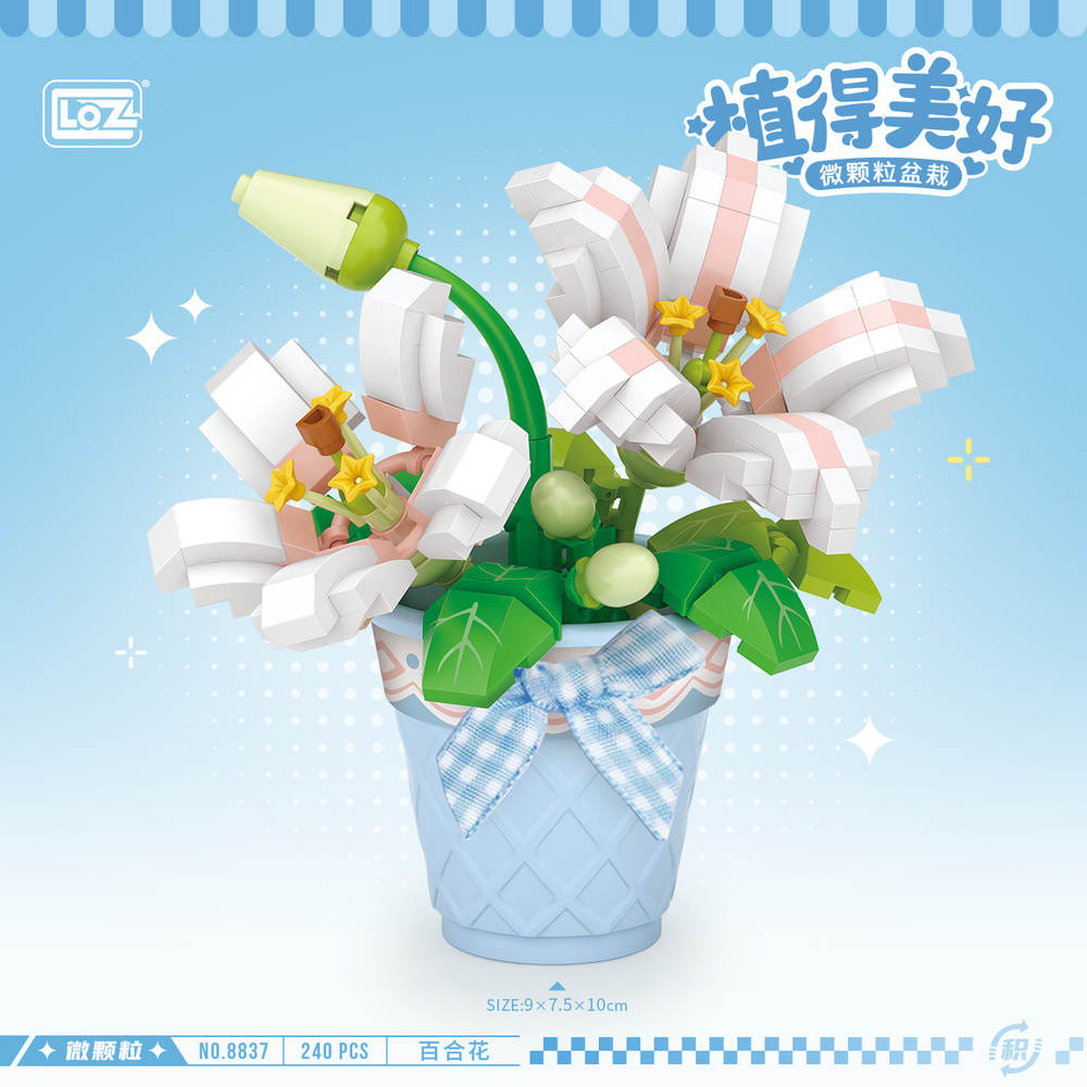 植物美好:百合花