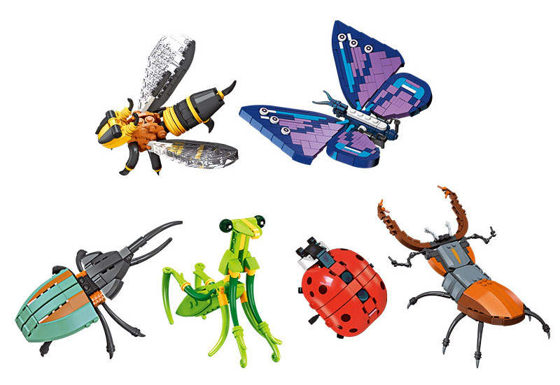 Wonderful Insects