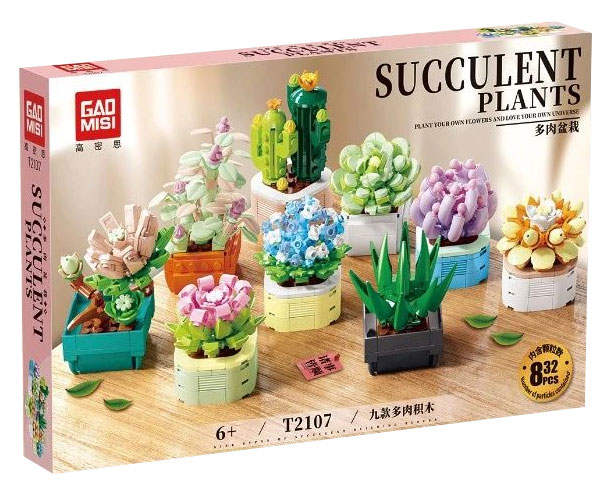 Succulent Plants